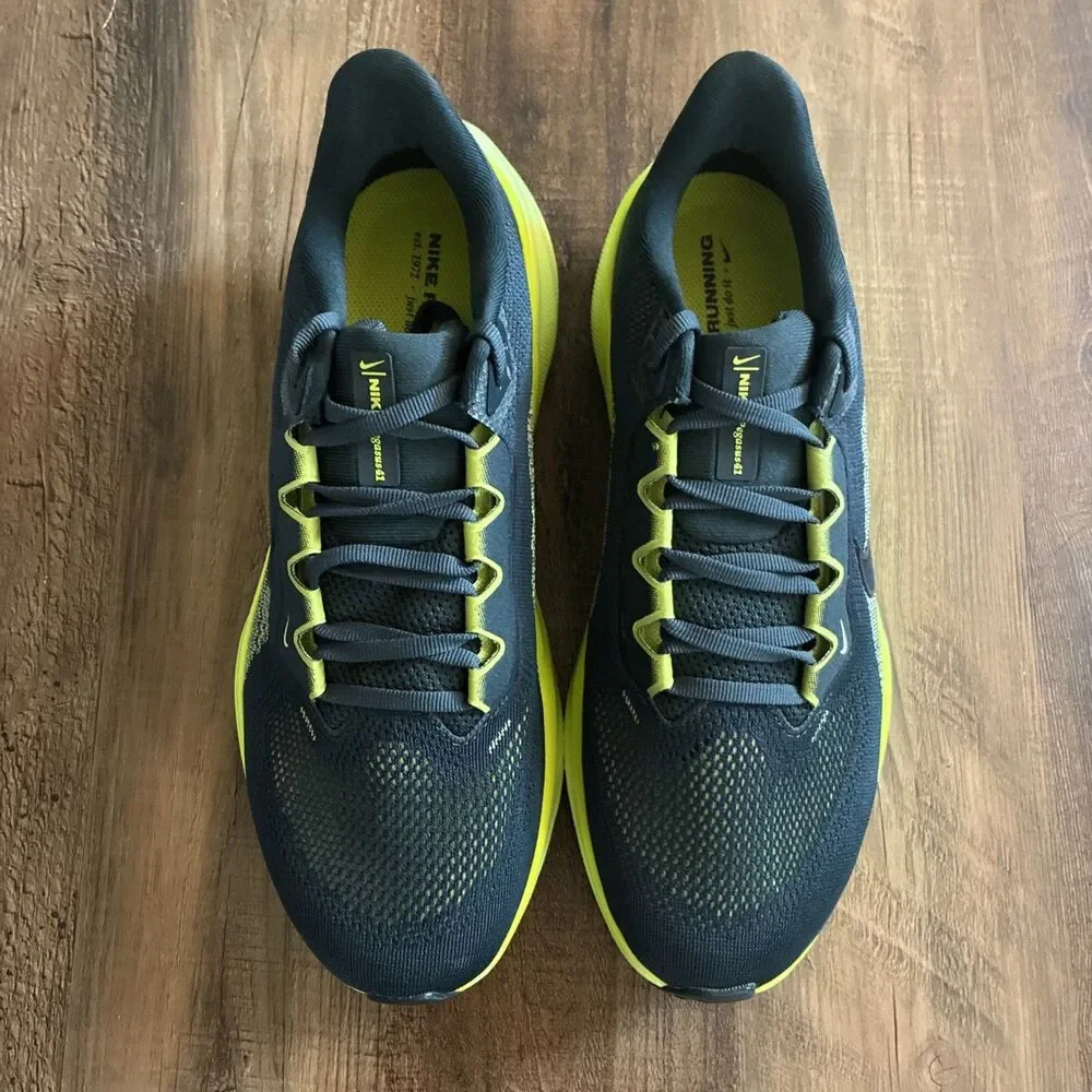 Nike pegasus 41